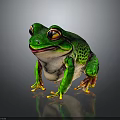 Green Spotted Frog With Yellow Eyes And Toes On Dark Background With Reflection