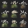 Assorted Ornamental Grass Varieties Displaying White Plume Flowers And Green Foliage In Grid Arrangement