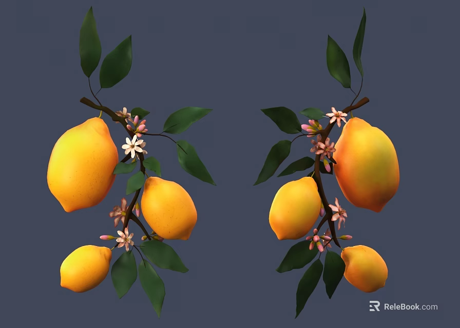 Lemon Branches With Ripe Yellow Fruits Green Leaves And White Flowers 3d model 
