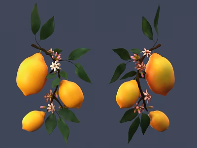 Lemon Branches With Ripe Yellow Fruits Green Leaves And White Flowers 3d model