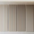 Vertical Wooden Wall Panels For Modern Interior Design In Light Shade 3d model