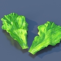 Cartoon Vegetable Leaf Food 3d model