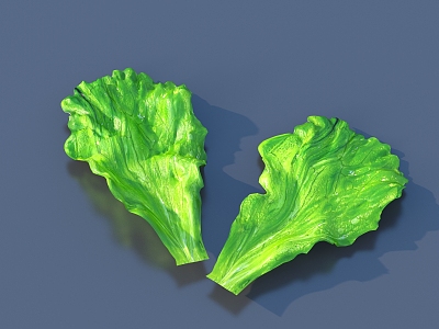 Cartoon Vegetable Leaf Food 3d model