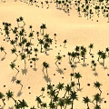 Vast Desert Scene With Numerous Small Palm Trees And Sandy Terrain