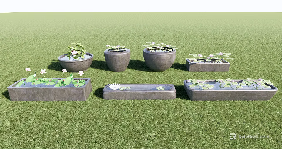 Stylish Garden Decor With Round And Rectangular Containers Featuring Water Plants On Green Lawn 3d model