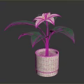 Indoor Plant With White Flower And Green Leaves In Textured Beige Pot