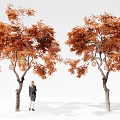 Red Maple Landscape Tree Arbor Bamboo Rattan Chandelier 3d model