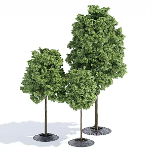 Landscape tree pool 3d model