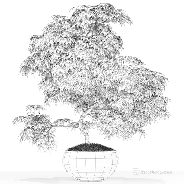 Potted Arbor With Lush Foliage Curved Trunk And Detailed Line Art Style 3d model 