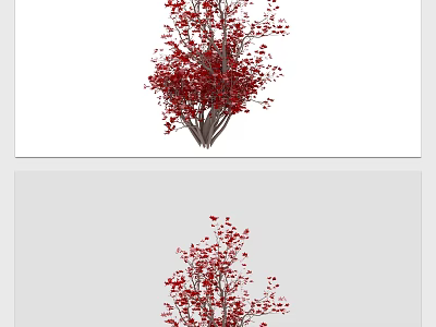 Beautiful Red Leaf Arbor with Multiple Branches and Vibrant Foliage in Garden 3d model