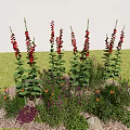 Tall Red Foxglove Surrounded by Low Purple Orange Flowers Green Herbs Stones and Mulch