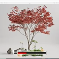 Vibrant Red Leaf Tree Garden Ornament With Stones Green Plants And Round Decorations