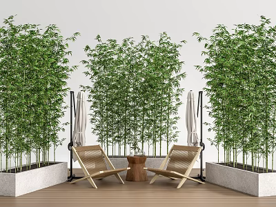 Tall Bamboo Plants In Outdoor Patio With Wooden Lounge Chairs And Concrete Planters 3d model