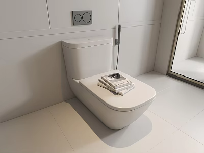 Modern White Toilet In Minimalist Bathroom With Magazines On Lid And Brush 3d model