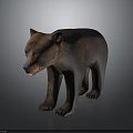 Realistic Brown Bear Standing Model With Detailed Fur And Lifelike Posture