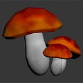 Three Shiny Red Vegetable Mushrooms With White Spots And Dark Background Reflection