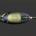 Vibrant Colorful Fish With Circular Green Blue Spots On Body And Purple Tail