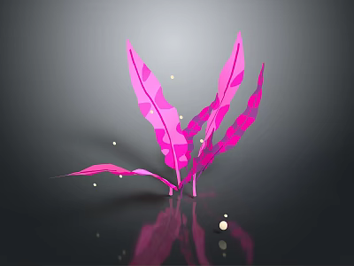 Low Poly Pink Plant With Geometric Leaves On Black Background Showing Reflection And Light Spots 3d model