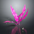 Low Poly Pink Plant With Geometric Leaves On Black Background Showing Reflection And Light Spots