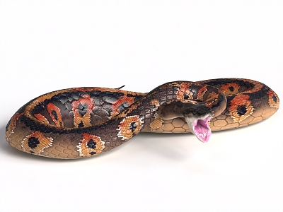 Anaconda with binding and mouth bite animated ball python venomous snake 3d model