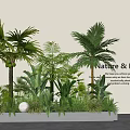 Lush Plant Combination With Palm Trees Green Plants White Spherical Lights And Nature Peace Vibe