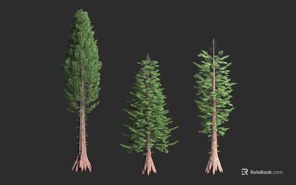 Three Arborescent Trees with Green Foliage and Distinct Trunk Shapes 3d model 