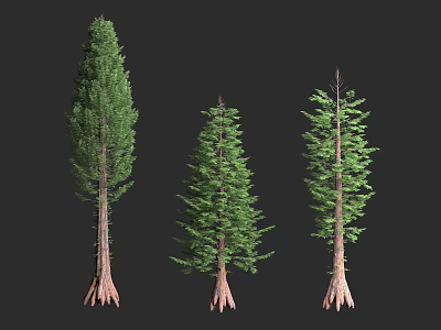 Three Arborescent Trees with Green Foliage and Distinct Trunk Shapes 3d model