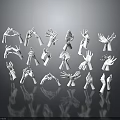 White Human Organ Hand Models Displaying Various Gestures In Studio Setup 3d model