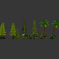 Collection of Various Plants Including Pine Trees Palm Trees Herbs And Aquatic Plants