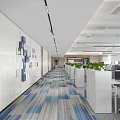 Modern Office Corridor Interior With Blue Gray Striped Carpet White Storage Cabinets And Green Plants