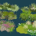 Diverse Flower and Plant Varieties for Garden Landscaping with Colorful Blooms and Green Foliage