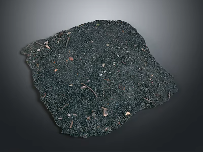 Natural Decorative Stone With Wood Fragments Embedded On Textured Organic Surface 3d model