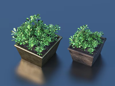 Two Green Plants in Square Planters with Metal and Wooden Design on Dark Blue Background 3d model