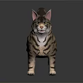Detailed Striped Cat 3D Model Standing on Black Background with Reflection