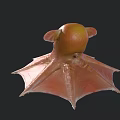 Vibrant Orange and Yellow Blanket Octopus with Spread Fins Swimming in Deep Sea