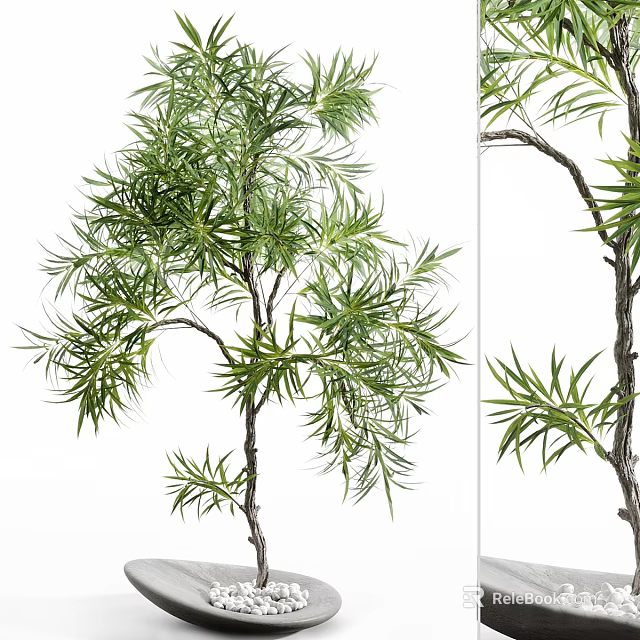 Decorative Bonsai Plant With Lush Green Leaves Slender Branches And Natural Shape 3d model 