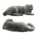 Modern Cat Short-haired Cat Blue Cat Pet Cat Small Animal Kitten 3d model