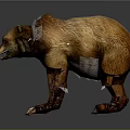 Realistic Brown Bear 3D Model With Brown Fur Sharp Claws And Open Mouth