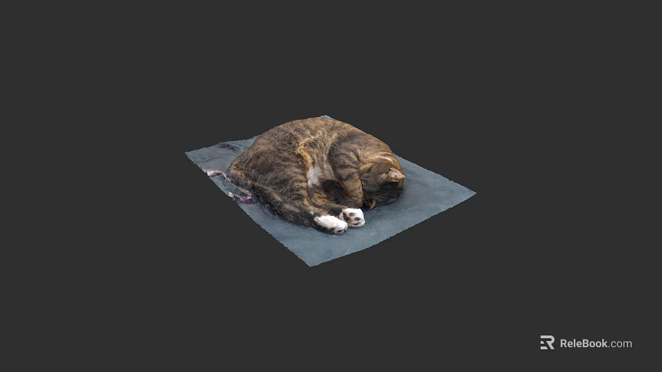 Curled Up Cat Sleeping Comfortably On Blue Mat With Soft Surface 3d model 