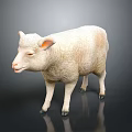 White Lamb Model Standing On Dark Background With Shiny Surface And Realistic Texture