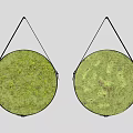 Two Round Green Moss Wall Decor Hanging On Gray Background 3d model