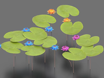 Colorful Water Lilies And Green Lily Pads With Blue Pink Orange Blooms 3d model