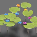 Colorful Water Lilies And Green Lily Pads With Blue Pink Orange Blooms