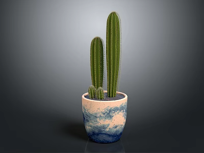 Tall Columnar Cactus Plant in Blue and White Decorative Pot on Gray Background 3d model