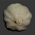 Fresh White Garlic Bulb With Natural Texture On Dark Background And Reflection