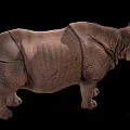 Large Indian Rhinoceros With Single Horn And Wrinkled Skin On Black Background