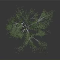 White Trunk Birch Tree With Lush Green Leaves On Gray Background
