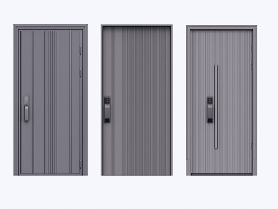 Modern Home Door 3d model