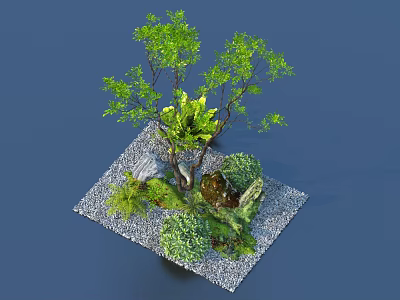 Garden Plant Combination With Tree Ferns Bushes Stones And Gravel Base 3d model