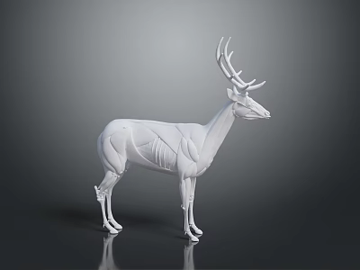 White Deer 3D Model with Geometric Lines on Dark Background and Reflection 3d model